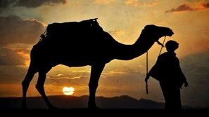 Camel trek nel deserto
