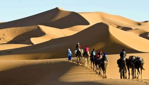 Camel trek
